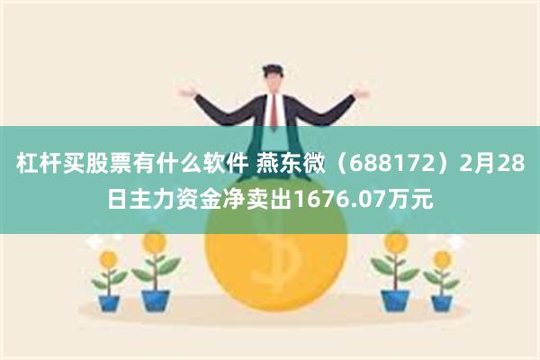 杠杆买股票有什么软件 燕东微（688172）2月28日主力资金净卖出1676.07万元
