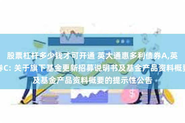 股票杠杆多少钱才可开通 英大通惠多利债券A,英大通惠多利债券C: 关于旗下基金更新招募说明书及基金产品资料概要的提示性公告