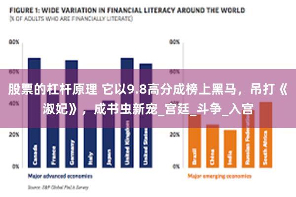 股票的杠杆原理 它以9.8高分成榜上黑马，吊打《淑妃》，成书虫新宠_宫廷_斗争_入宫