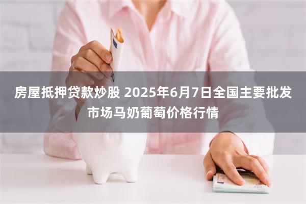 房屋抵押贷款炒股 2025年6月7日全国主要批发市场马奶葡萄价格行情