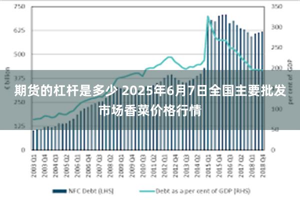 期货的杠杆是多少 2025年6月7日全国主要批发市场香菜价格行情