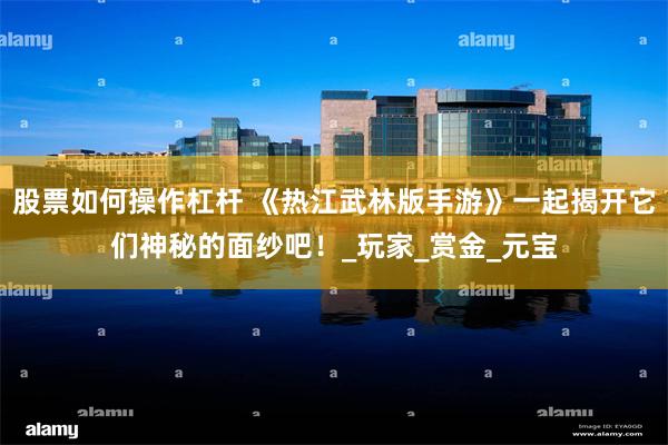 股票如何操作杠杆 《热江武林版手游》一起揭开它们神秘的面纱吧！_玩家_赏金_元宝