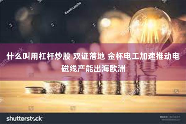 什么叫用杠杆炒股 双证落地 金杯电工加速推动电磁线产能出海欧洲