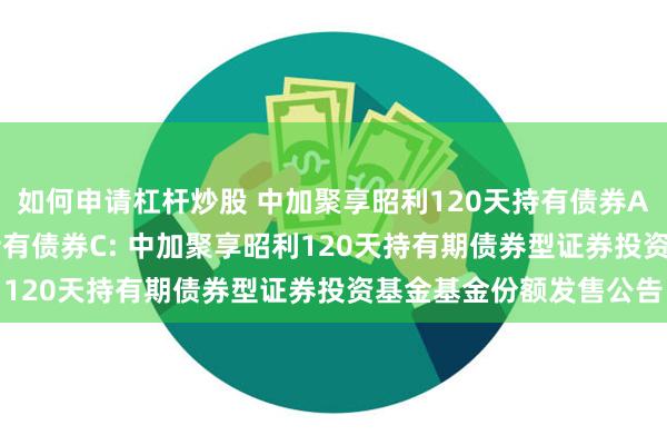 如何申请杠杆炒股 中加聚享昭利120天持有债券A,中加聚享昭利120天持有债券C: 中加聚享昭利120天持有期债券型证券投资基金基金份额发售公告