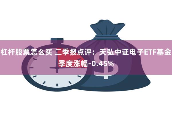 杠杆股票怎么买 二季报点评：天弘中证电子ETF基金季度涨幅-0.45%