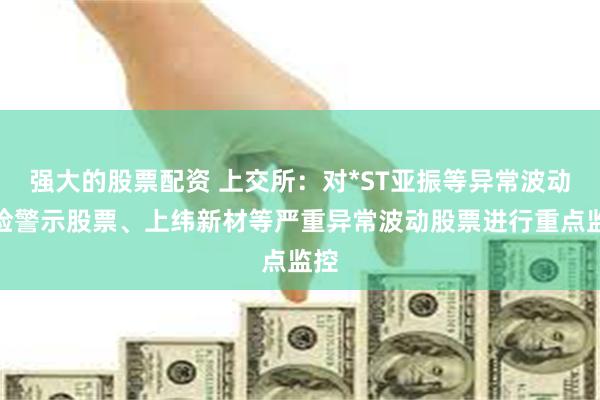 强大的股票配资 上交所：对*ST亚振等异常波动风险警示股票、上纬新材等严重异常波动股票进行重点监控