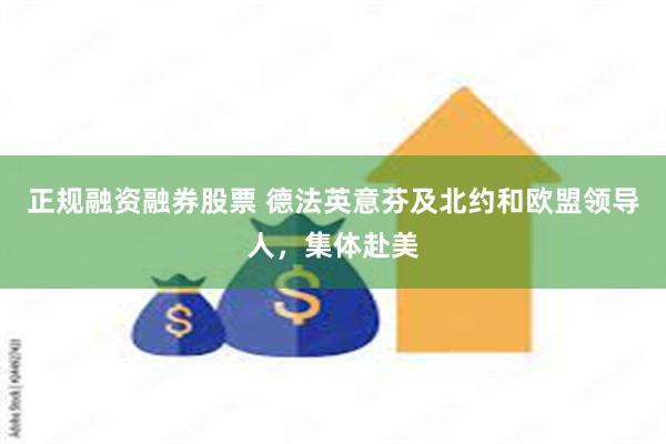 正规融资融券股票 德法英意芬及北约和欧盟领导人，集体赴美